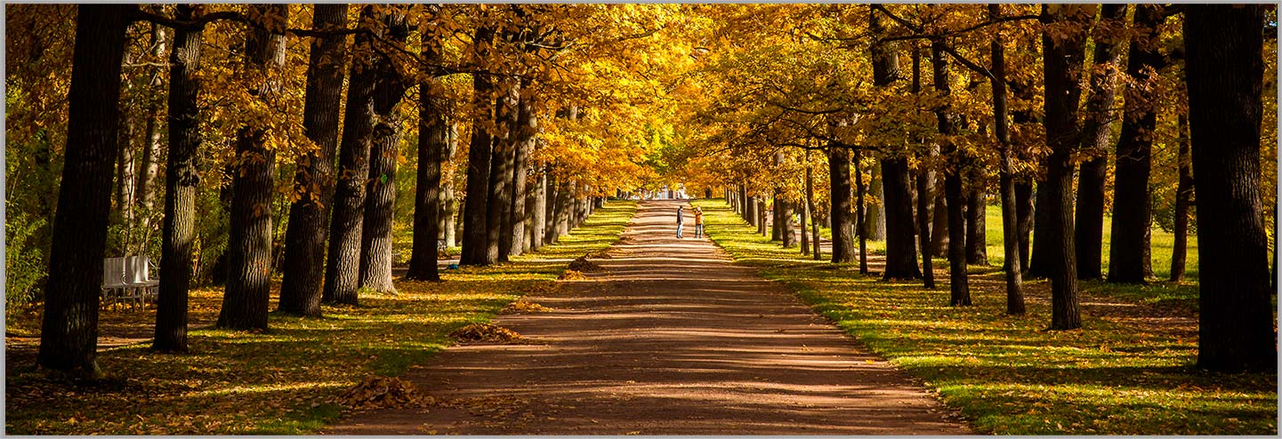 寧波アオシェン機械有限公司